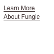 Learn More
About Fungie