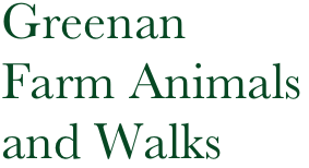 
Greenan
Farm Animals
and Walks