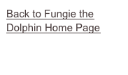 Back to Fungie the Dolphin Home Page